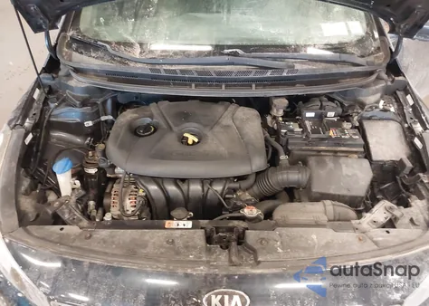 2017 Kia Forte Lx z USA, uszkodzony, nr VIN KNAFK5A81H5730789